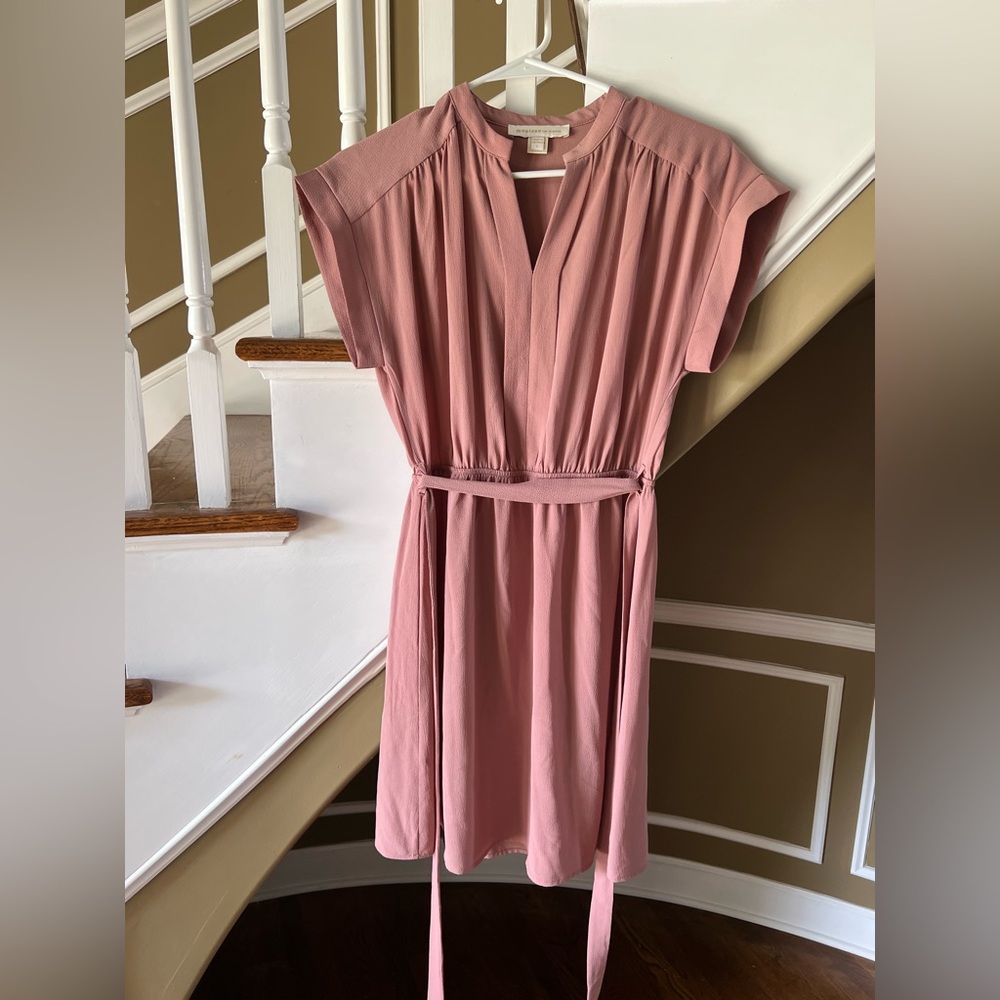 Monteau light rose dress